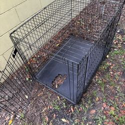Large Dog Crate