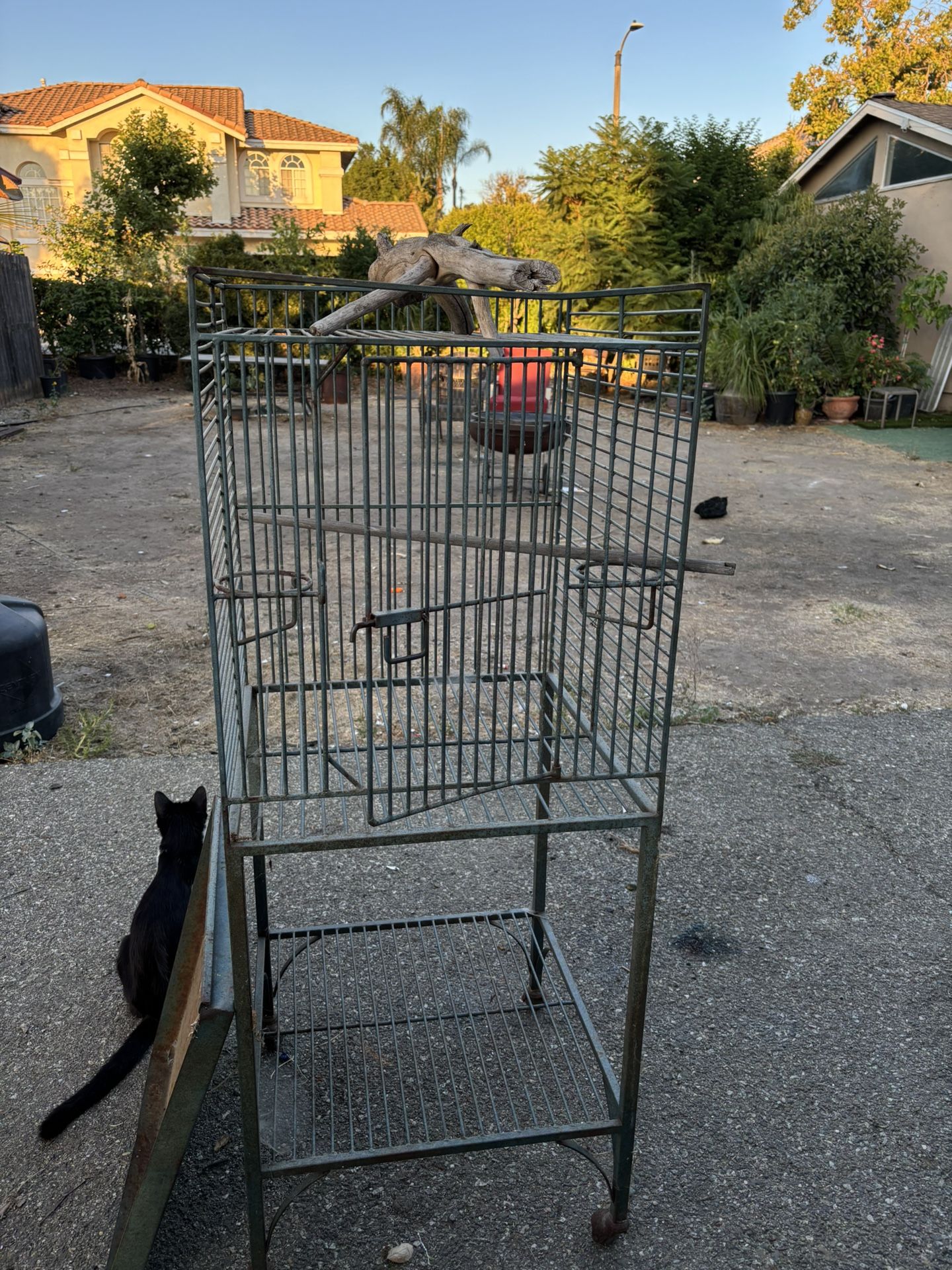 Birdcage