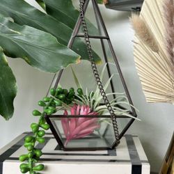 Geometric Hanging Plant Terrarium