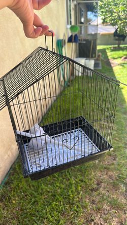 Bird cage