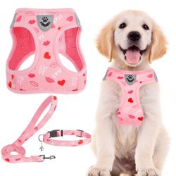 Harness Collar And Leash Medium 