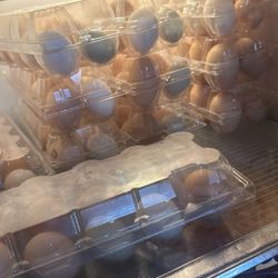Eggs Farm Fresh