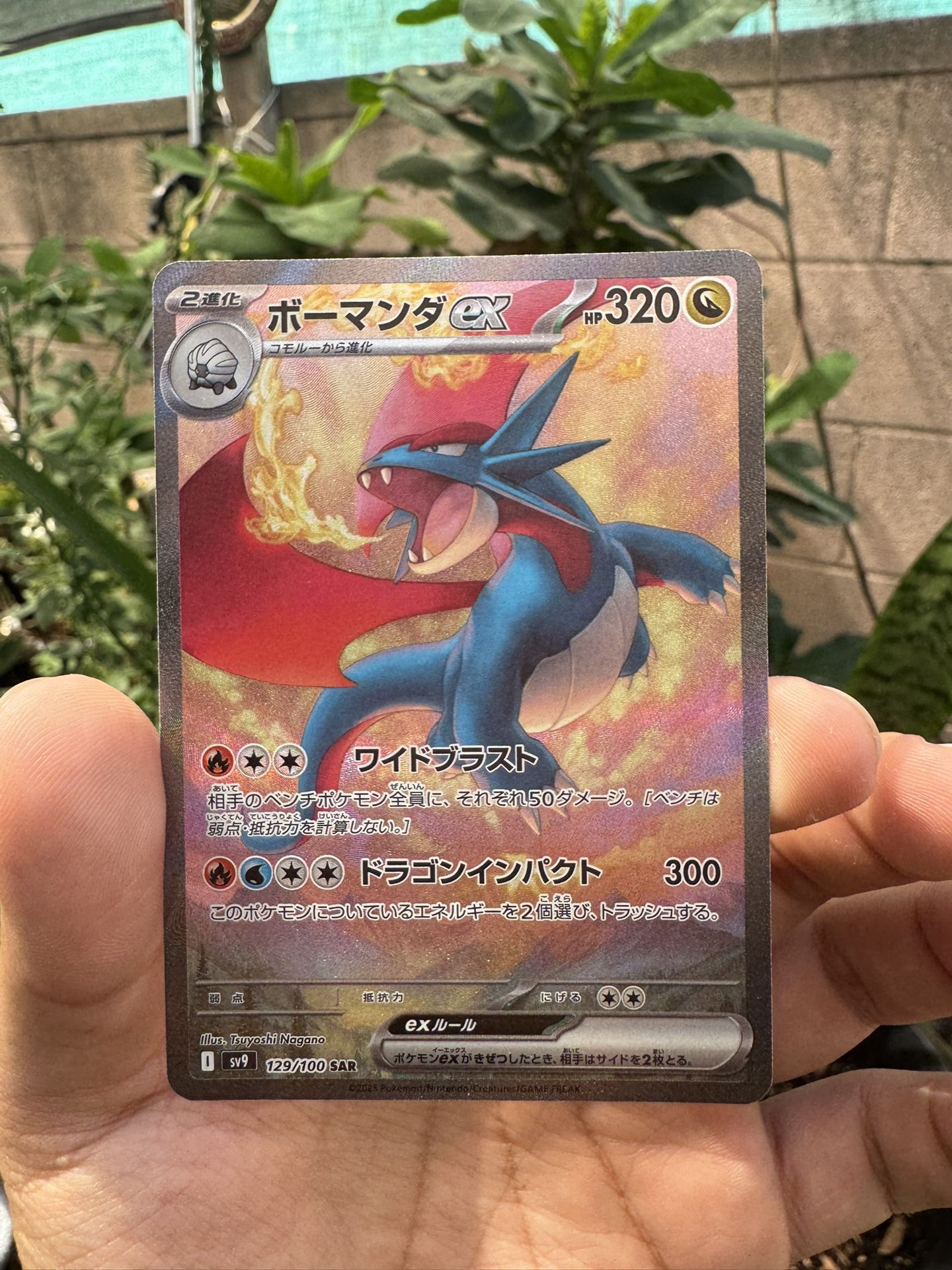 Pokemon Cards/Singles - Salamence EX (JP)