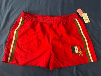 Women’s Mexico Track Shorts (LARGE)