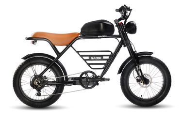Haoqi Rhino Electric Motor Bike Like New Less 100 Miles