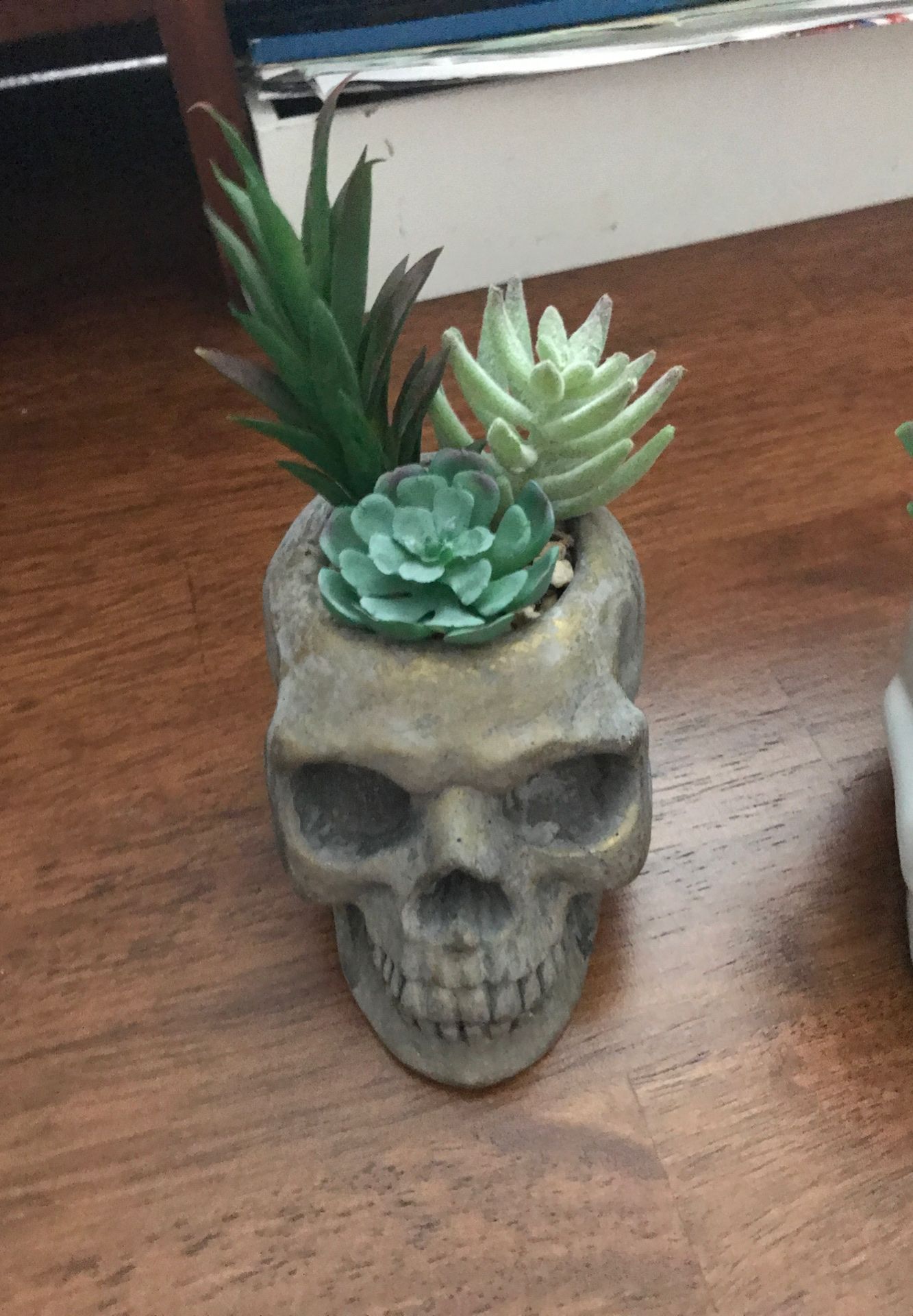 skull fake plant