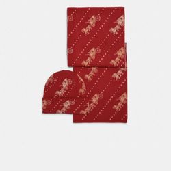 Coach hat and scarf