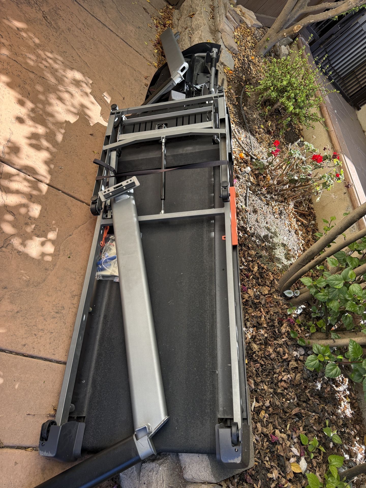 Free Treadmill