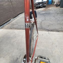 Schwinn 10 Speed