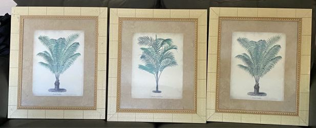 Set of 3 Elegant Palm Tree Framed Prints 19”H X 16”W -Made in Canada