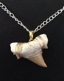 Otodus Shark Tooth Fosil Pendant 
