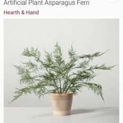Set Of 4 Faux Ferns 