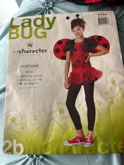 Costume-Ladybug