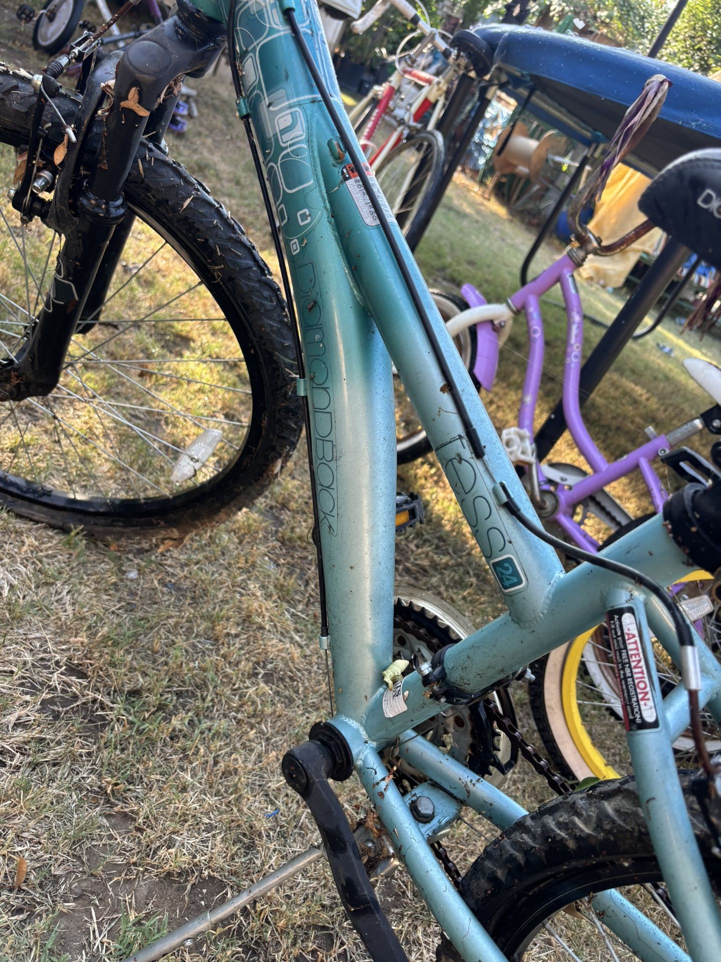Mountain Bike