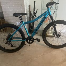 New  Bike