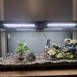 Top Fin 55 Gal Fish Tank