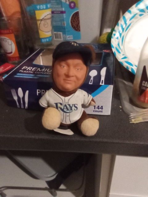 A Stuffed Bear