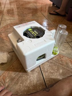 Incubator
