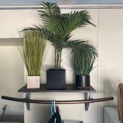 Faux Plants For Sale. 