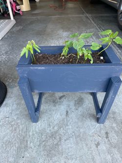 Small treated wood rack new