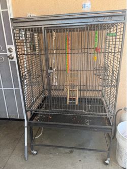 Bird cage
