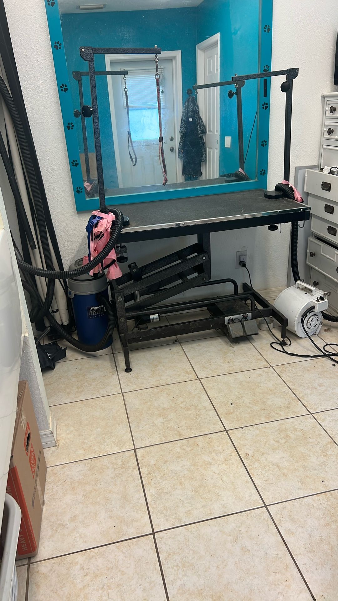 Hydraulic grooming table