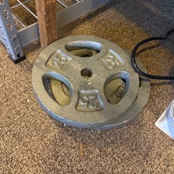 1 In 25lbs Cast Iron Weight Plate Set Of 2
