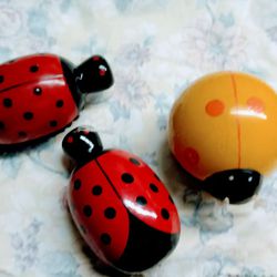 3 Lady Bug Brushes Use Or Collect