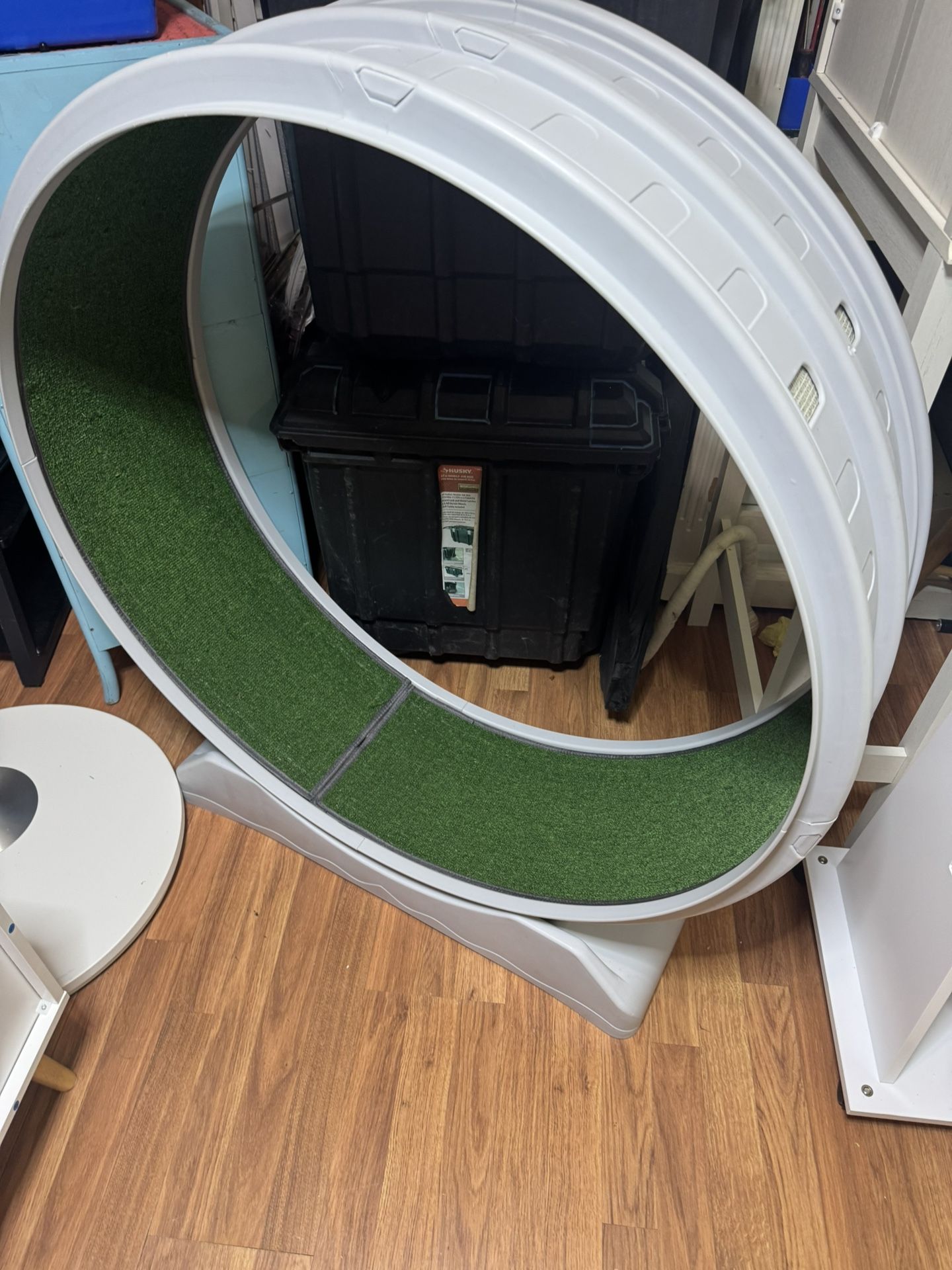 Cat Wheel