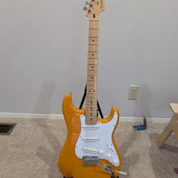 Fender Player Stratocaster