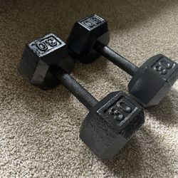 30lb Dumbbell 
