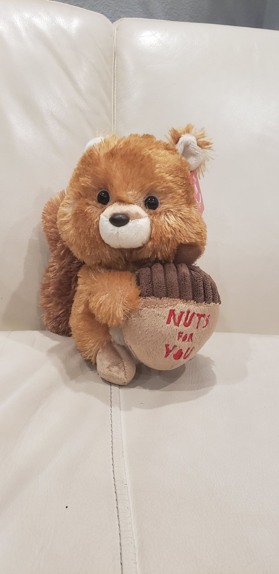 Nuts for you Valentine's day squirrel animal 8" tall cute stuffed animal with an acorn. Very soft material. Brand new with tag.