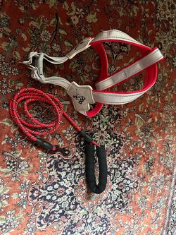 Dog harness, and leash (new)