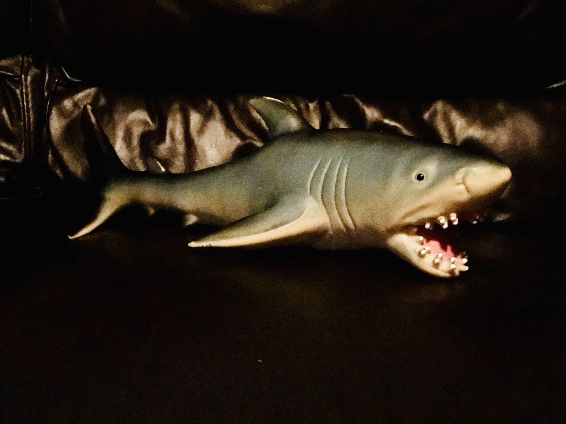 Rubber shark