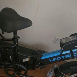 Lectric bike