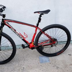 Specialized Stumpjumper Carbon S-Works 29er
