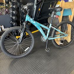 Diamondback Mountain Bike 24in Frame for Youth