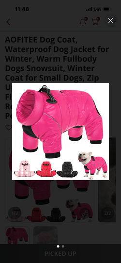 Dogs  vest