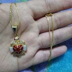 Gold Plated Chain With The Pendant/Cadena Con Dije De Tortuga De Oro Laminado 