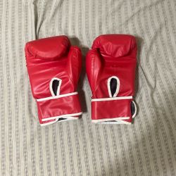 Bonsem Boxing Gloves