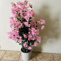 Buganvilias fake plan 4 ft tall