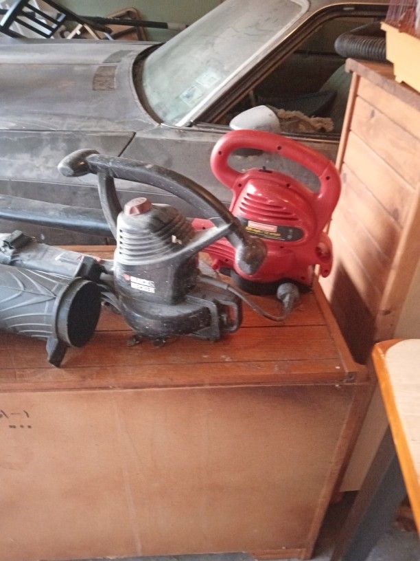 Two Leaf Blowers  For One Price  Electric 