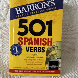 501 Spanish Verbs