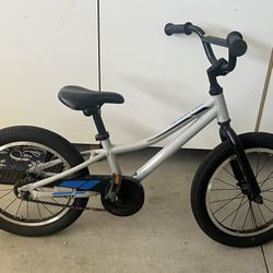 Giant Animator boys bike 