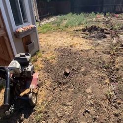 we install sod grass