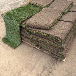 Sod And Sprinkles 