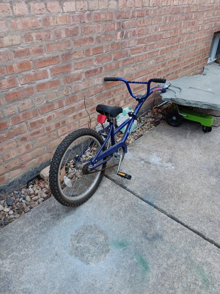 20" Instep PATHFINDER Copilot Kids Bike