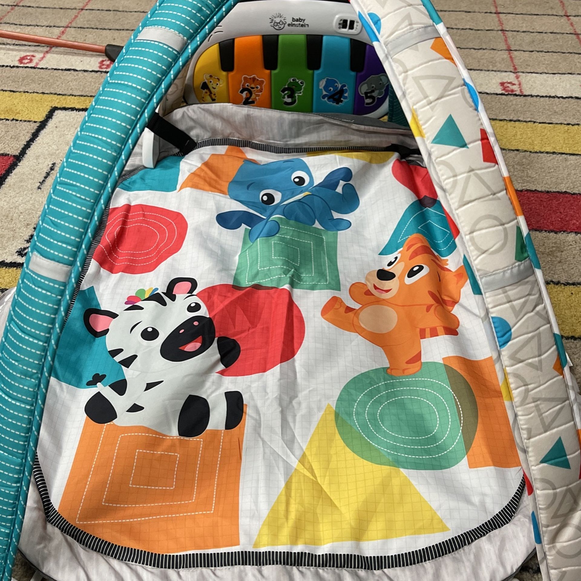 Baby Play Mat