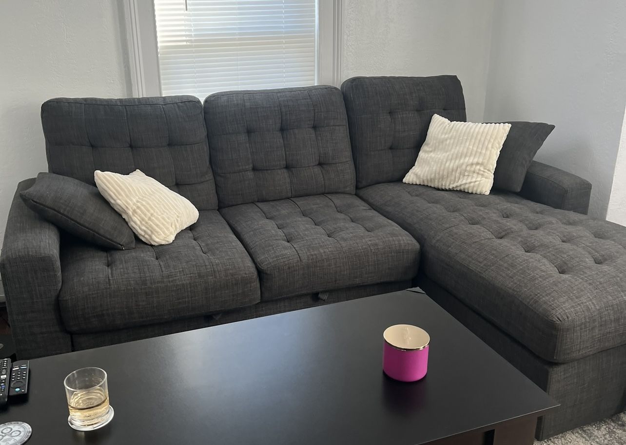 Sofa Pop Up Sleeper and Storage