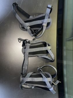 Small Dog Harness 